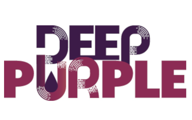 Purple project. Deep Purple логотип. Дип перпл лого. Дип пёрпл логотип. Deep Purple logo 2020.